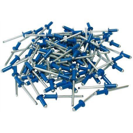 Cora 000116015 Kit de 100 rivets de fixation pour plaque d'immatriculation