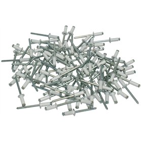 Cora 000116016 Kit de 100 rivets de fixation pour plaque d'immatriculation