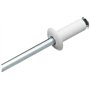 Cora 000116016 Kit de 100 rivets de fixation pour plaque d'immatriculation, Blanc