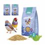 Best Friend Aliment Complet pour Oiseaux Exotiques avec graines de chicorée