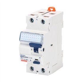INTERRUPTEUR DIFFÉRENTIEL - IDP - 2P 40A TYPE AC INSTANTANÉ Idn=0