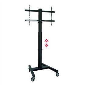 Support TV sur sol avec roues OMB 0.284 32" 55" 40 kg