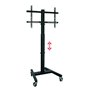 Support TV sur sol avec roues OMB 0.284 32" 55" 40 kg