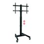 Support TV sur sol avec roues OMB 0.284 32" 55" 40 kg