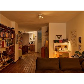 Bracelet Unisexe Stubborn Talent Jewels TJA-5-11-02-2-235 Noir