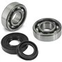 Roulement ou joint spi moteur scooter MBK 50 Spirit Neuf