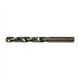 FAST WORLD SHOPPING ® Lot de 19 forets pour perceuse HSS hélicoidali mesure de 1 mm à 10 mm pointe pour percer bois et métaux av