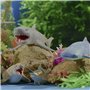 Animaux Jouets pour Enfants avec Cartes Incluses