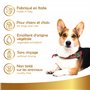 Linea 101, Protection Solaire Spray Naturel, 250ml - Ecran Solaire pour Chiens et Chats - Solution Végétal Contre Les Rayons du 