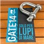 Forme D