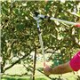 Amig - Cisaille de Taille à Deux Mains | Manche en Aluminium et Lame avec Revêtement en Téflon | 76 cm | Coupe Enclume | Capacit