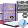 100 feuilles quadrillées