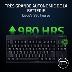 19 Niveaux de Moulure
