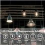Lampe LED Silver Electronics 960327