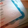 Finocam - Calendrier de bureau 2026 mois vue janvier - décembre 2026 + sept. - Déc. 2025 (4 mois) réduits | Calendrier 2026 | Im