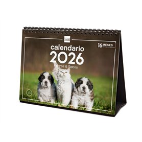 Finocam - Calendrier de bureau 2026 mois vue janvier - décembre 2026 + sept. - Déc. 2025 (4 mois) réduits | Calendrier 2026 | Im