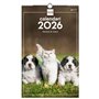 Finocam - Calendrier mural 2026 25 x 40 cm Mois vue Janvier - Décembre 2026 + Sep.- Déc. 2025 (4 mois) réduits | Calendrier 2026