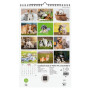 Finocam - Calendrier mural 2026 25 x 40 cm Mois vue Janvier - Décembre 2026 + Sep.- Déc. 2025 (4 mois) réduits | Calendrier 2026