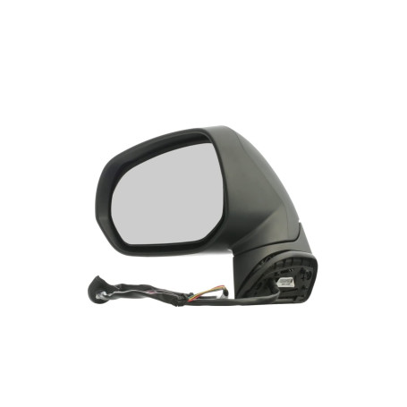 Alkar 6139858 Miroir convexe chauffant électrique extérieur complet avec clignotant/lumière de courtoisie