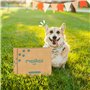 MAIKAI Coffret Friandises Naturelles pour Chien – Oreilles de Porc, Nerfs de Bœuf, Os à Mâcher – Huile de Saumon pour Chien 250m