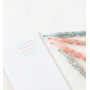 Grupo Erik SSGE001 - Lot de 4 Surligneurs Pastel Pusheen : Rose, Orange, Vert, Bleu - Pointe Large et Pointe Fine- Fournitures S