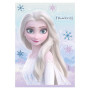 dekora Plaque Azyme Frozen 15X21CM
