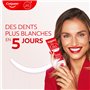 Hare Paquet de 6 rouges à lèvres magiques