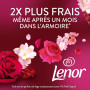 78 lavages (6 x 155g)