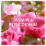 Dash 2en1 PODS, Lessive En Capsule, 70 Lavages, Jasmin Et Rose De Mai, 3 SEMAINES DE FRAÎCHEUR* AVEC L’ADOUCISSANT LENOR, Fabriq