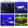 BPS Lampe LED à clip étanche et submersible pour aquarium pour éclairage de plantes Blanc/bleu 1.5W 30cm [Blanc]