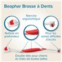 BEAPHAR – Brosse à Dents pour Chien et Chat – Anti Plaque & Anti tartre – Nettoyage Complet – Double extrémités – Manche Ergonom