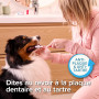 BEAPHAR – Brosse à Dents pour Chien et Chat – Anti Plaque & Anti tartre – Nettoyage Complet – Double extrémités – Manche Ergonom