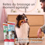 BEAPHAR – Brosse à Dents pour Chien et Chat – Anti Plaque & Anti tartre – Nettoyage Complet – Double extrémités – Manche Ergonom