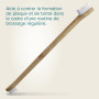BEAPHAR – Brosse à Dents en Bambou pour Chien et Chat – Anti Plaque & Anti tartre – Nettoyage Complet – Double extrémités – pour