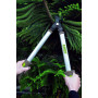 Kinzo Sécateur à branches 48 cm - Taille-haie pour haies et branches - Outil de coupe et de jardin avec bec pour perroquet - Poi
