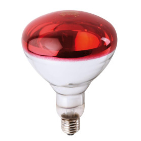 Philips 57520325 InfraRed Industrial Infrared Incandescent Reflector Lamp