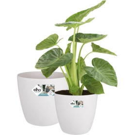 ELHO Lot de 2 pots de fleur rond a roulettes Brussels - Ø35 x H33 cm et Ø39 x H36