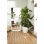 ELHO Lot de 2 pots de fleur rond a roulettes Brussels - Ø35 x H33 cm et Ø39 x H36,5 cm - 55 L - Blanc