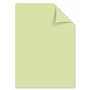 Kangaro Lot de 50 feuilles de papier à lettre vert clair DIN A4 160 g/m² FSC mix – Papier à lettre DIY