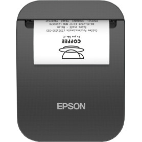 Epson TM-P20II (106) : réception