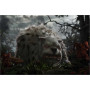 Alice au Pays des Merveilles 3D + Blu-Ray 2D