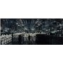 Star Wars : Les Derniers Jedi - Blu-ray + Blu-ray 2D + ORING "Le Premier Ordre" [Blu-ray + Blu-ray bonus - Surétui "Premier Ordr