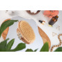 Brosse corporelle ovale sans plastique, brosse sèche, brosse exfoliante, brosse de massage, exfoliant corps, brosse pour enlever