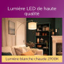 Philips ampoule LED Flamme E14 60W Blanc Chaud Dépolie