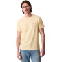 Calvin Klein T- Shirts Homme