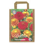 Interflowers Dahlia Lot de 3 bulbes de fleurs Dahlia multicolores au choix pour l'été, fleurs et oignons de fleurs dans un embal