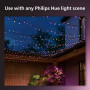 Philips Hue Festavia Guirlande lumineuse 20 m 250 LED