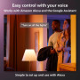Philips Hue Festavia Guirlande lumineuse 20 m 250 LED