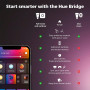 Philips Hue Festavia Guirlande lumineuse 20 m 250 LED