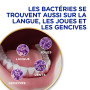 SIGNAL Liquide Dentifrice Integral 8 Blancheur 75 ml lot de 6, pas de saveur